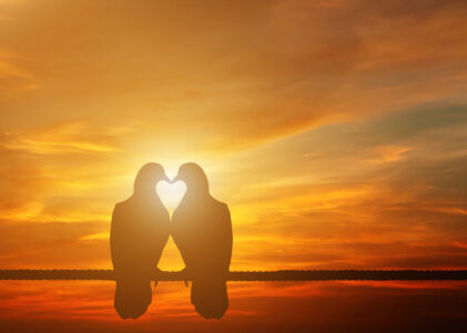 Gönüller Bir Olsun