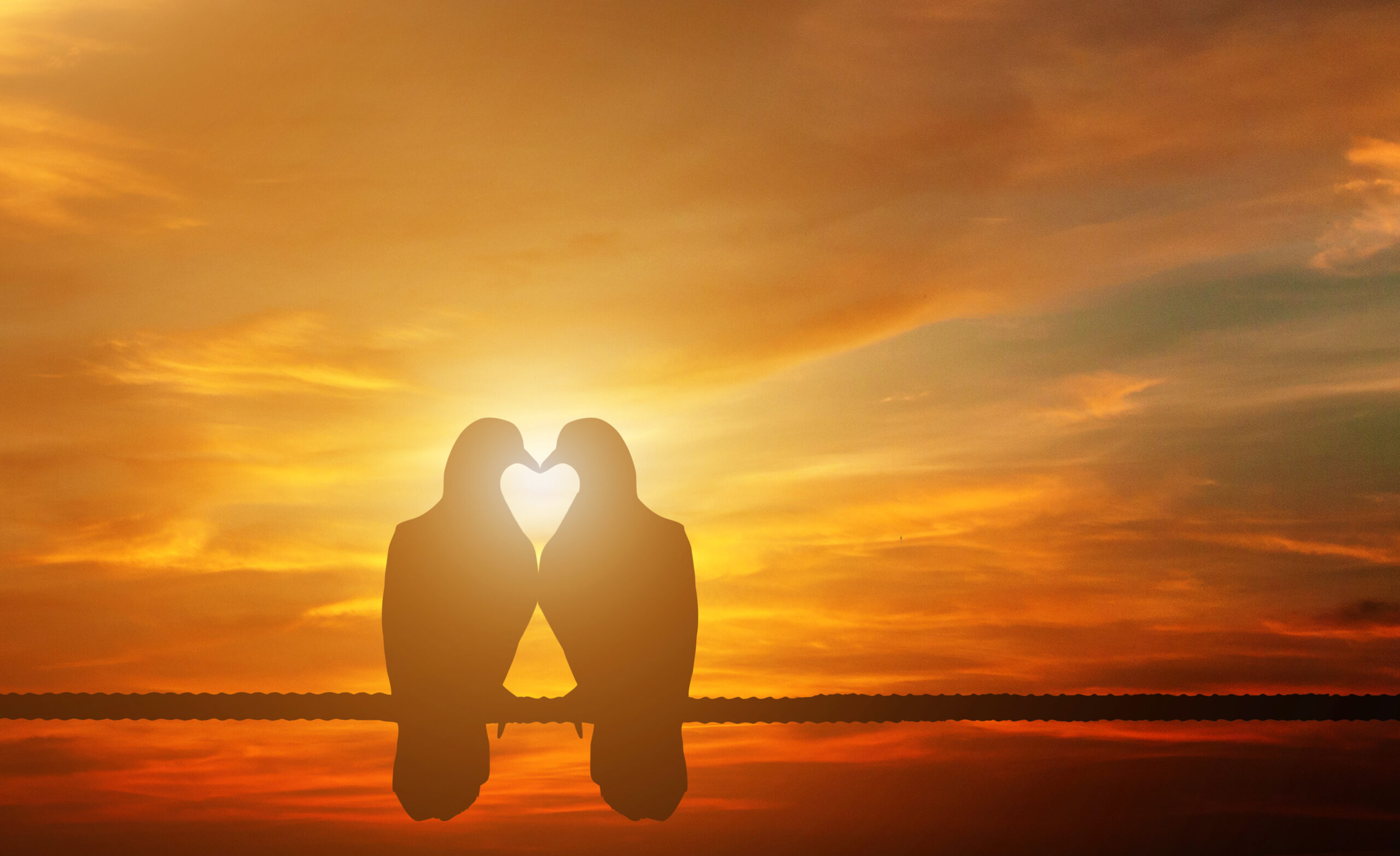 Gönüller Bir Olsun